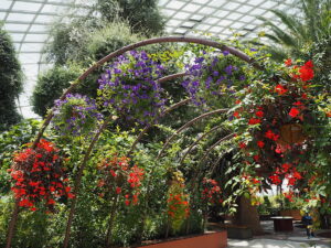 flower dome singapore
